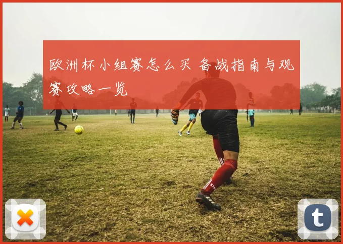欧洲杯小组赛怎么买 备战指南与观赛攻略一览