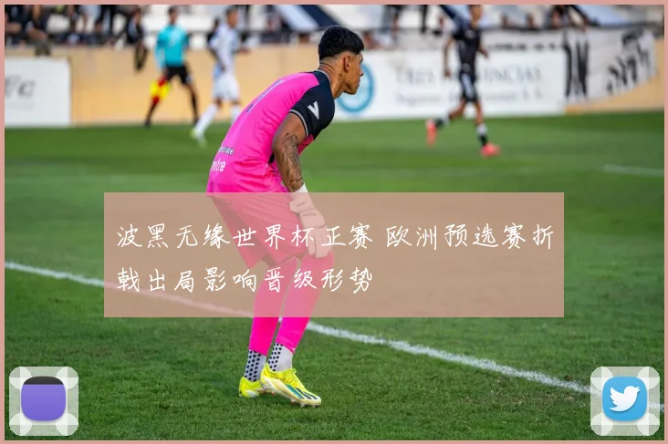 波黑无缘世界杯正赛 欧洲预选赛折戟出局影响晋级形势