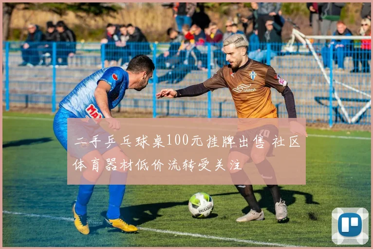 二手乒乓球桌100元挂牌出售 社区体育器材低价流转受关注