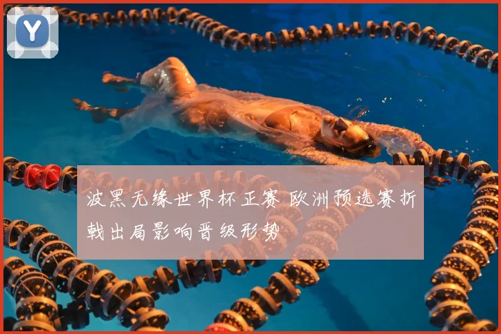 波黑无缘世界杯正赛 欧洲预选赛折戟出局影响晋级形势
